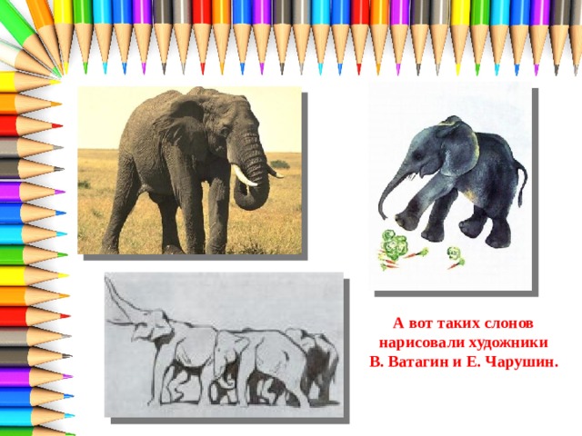 А вот таких слонов  нарисовали художники В. Ватагин и Е. Чарушин. 