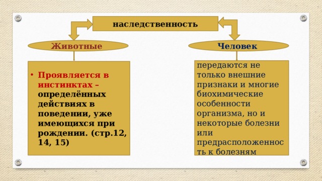 Презентация загадка человека 6 класс обществознание