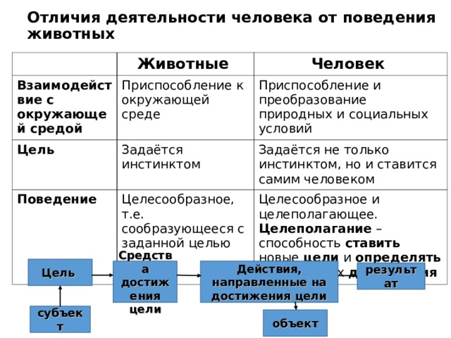 Отличие деятельности человека от поведения. Деятельность человека от поведения животных. Деятельность это взаимодействие человека с окружающей средой. Взаимодействие с окружающей средой человек и животное. Отличие деятельности от поведения животных.