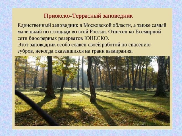 Шаховская - Клин / Ходим-Едем