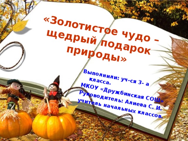 «Золотистое чудо – щедрый подарок природы» Выполнили: уч-ся 3- а класса. МКОУ «Дружбинская СОШ» Руководитель: Алиева С. И. учитель начальных классов.  