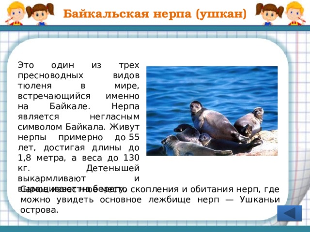 Математическое лото Группа 1 Группа 2 Группа 3 Переход по гиперссылкам для проверки правильности выполнения заданий каждой группой. Кнопка «Вперед» для перехода на слайд 24 «Критерии оценки за урок»