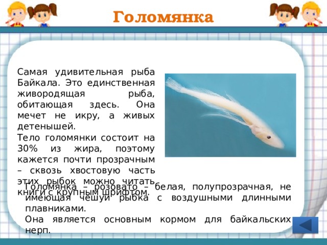 Байкальская нерпа (ушкан) Это один из трех пресноводных видов тюленя в мире, встречающийся именно на Байкале. Нерпа является негласным символом Байкала. Живут нерпы примерно до 55 лет, достигая длины до 1,8 метра, а веса до 130 кг. Детенышей выкармливают и выращивают на берегу. Кнопка «Назад» для перехода на слайд 20 «Математическое лото» Самое известное место скопления и обитания нерп, где можно увидеть основное лежбище нерп — Ушканьи острова.