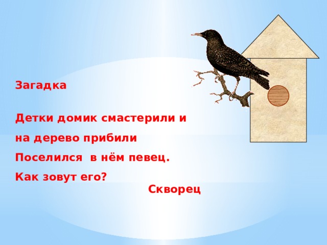 Загадка  Детки домик смастерили и на дерево прибили Поселился в нём певец. Как зовут его?  Cкворец  