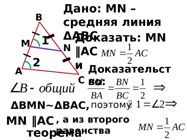 Mn средняя линия