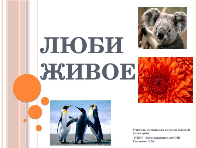 ЛЮБИ ЖИВОЕ Учитель начальных классов высшей категории  МКОУ «КичигамринскаяСОШ Гасанова У.М. 