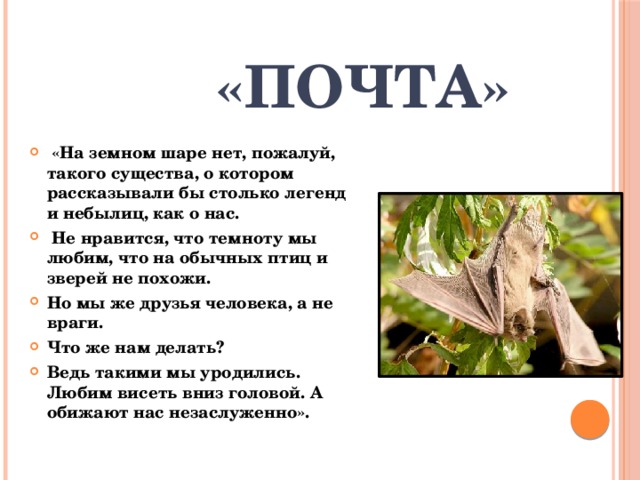 «Почта»  «На земном шаре нет, пожалуй, такого существа, о котором рассказывали бы столько легенд и небылиц, как о нас.  Не нравится, что темноту мы любим, что на обычных птиц и зверей не похожи. Но мы же друзья человека, а не враги. Что же нам делать? Ведь такими мы уродились. Любим висеть вниз головой. А обижают нас незаслуженно». 