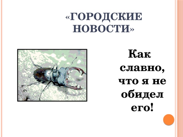 «Городские новости» Как славно, что я не обидел его! 