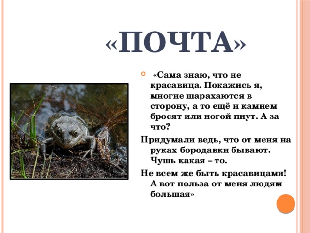 «Почта»  «Сама знаю, что не красавица. Покажись я, многие шарахаются в сторону, а то ещё и камнем бросят или ногой пнут. А за что? Придумали ведь, что от меня на руках бородавки бывают. Чушь какая – то. Не всем же быть красавицами! А вот польза от меня людям большая» 