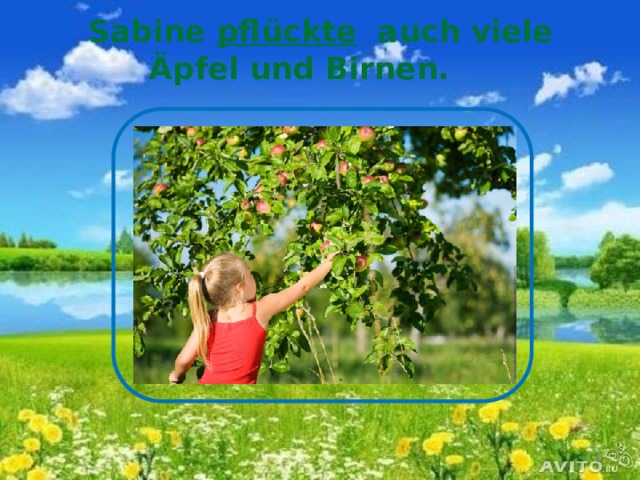  Sabine pflückte auch viele Äpfel und Birnen.  