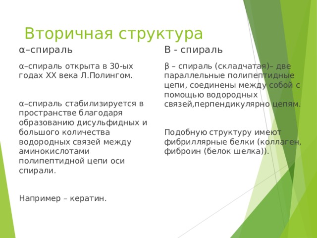 Вторичная структура α–спираль Β - спираль α–спираль открыта в 30-ых годах ХХ века Л.Полингом. α–спираль стабилизируется в пространстве благодаря образованию дисульфидных и большого количества водородных связей между аминокислотами полипептидной цепи оси спирали. Например – кератин. β – спираль (складчатая)– две параллельные полипептидные цепи, соединены между собой с помощью водородных связей,перпендикулярно цепям. Подобную структуру имеют фибриллярные белки (коллаген, фиброин (белок шелка)). 