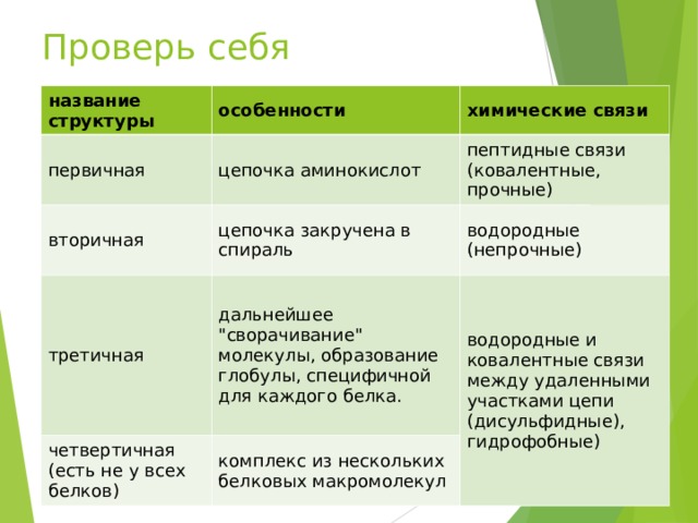 Проверь себя название структуры особенности первичная химические связи цепочка аминокислот вторичная пептидные связи (ковалентные, прочные) цепочка закручена в спираль третичная водородные (непрочные) дальнейшее 