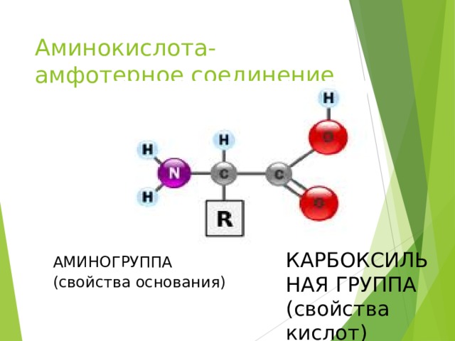 Аминокислота- амфотерное соединение КАРБОКСИЛЬНАЯ ГРУППА (свойства кислот) АМИНОГРУППА (свойства основания) 