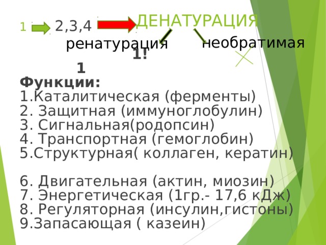 ДЕНАТУРАЦИЯ  2,3,4   1! 1 Функции: 1.Каталитическая (ферменты) 2. Защитная (иммуноглобулин) 3. Сигнальная(родопсин) 4. Транспортная (гемоглобин) 5.Структурная( коллаген, кератин) 6. Двигательная (актин, миозин) 7. Энергетическая (1гр.- 17,6 кДж) 8. Регуляторная (инсулин,гистоны) 9.Запасающая ( казеин) необратимая ренатурация  