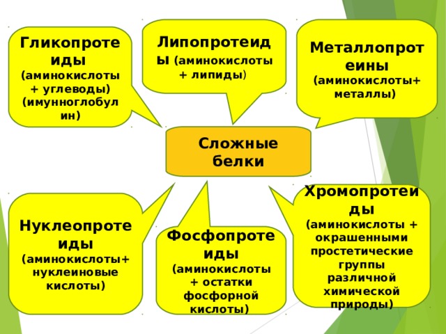 Простетические группы белков. Сложные белки. Химическую природу простетических групп сложных белков.. Сложные белки примеры. К сложным белкам относятся.