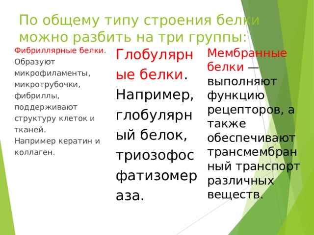 По общему типу строения белки можно разбить на три группы: Мембранные белки  — Глобулярные белки . Фибриллярные белки. Образуют микрофиламенты, микротрубочки, фибриллы, поддерживают структуру клеток и тканей. Например кератин и коллаген. выполняют функцию рецепторов, а также обеспечивают трансмембранный транспорт различных веществ. Например, глобулярный белок, триозофосфатизомераза. 