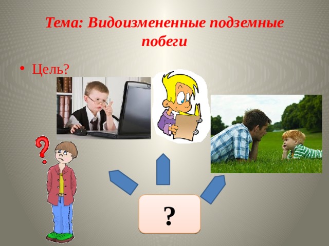 Тема: Видоизмененные подземные побеги Цель? ?