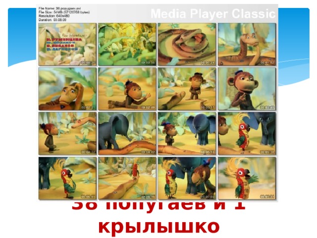38 попугаев и 1 крылышко 