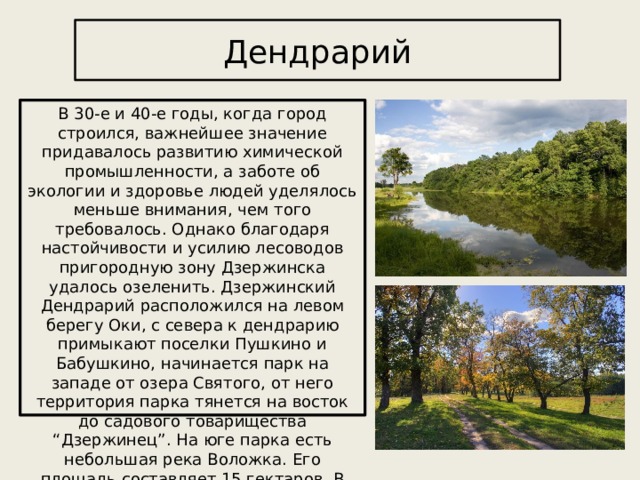 Дендрарий В 30-е и 40-е годы, когда город строился, важнейшее значение придавалось развитию химической промышленности, а заботе об экологии и здоровье людей уделялось меньше внимания, чем того требовалось. Однако благодаря настойчивости и усилию лесоводов пригородную зону Дзержинска удалось озеленить. Дзержинский Дендрарий расположился на левом берегу Оки, с севера к дендрарию примыкают поселки Пушкино и Бабушкино, начинается парк на западе от озера Святого, от него территория парка тянется на восток до садового товарищества “Дзержинец”. На юге парка есть небольшая река Воложка. Его площадь составляет 15 гектаров. В дендрарии можно увидеть уникальные растения. 