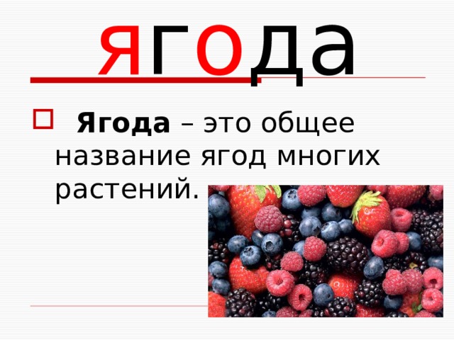 я г о да  Ягода – это общее название ягод многих растений. 