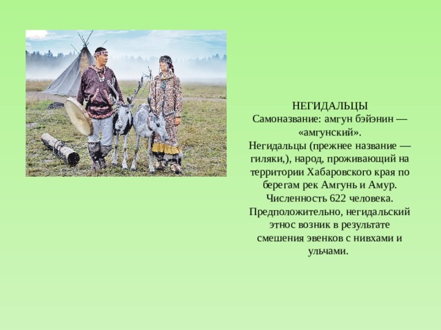 НЕГИДАЛЬЦЫ Самоназвание: амгун бэйэнин — «амгунский». Негидальцы (прежнее название — гиляки,), народ, проживающий на территории Хабаровского края по берегам рек Амгунь и Амур. Численность 622 человека. Предположительно, негидальский этнос возник в результате смешения эвенков с нивхами и ульчами. 