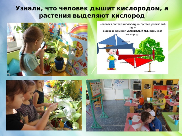 Узнали, что человек дышит кислородом, а растения выделяют кислород 
