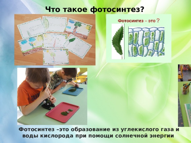 Что такое фотосинтез? Фотосинтез –это образование из углекислого газа и воды кислорода при помощи солнечной энергии 