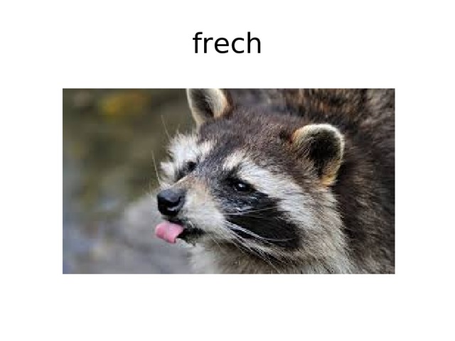 frech 