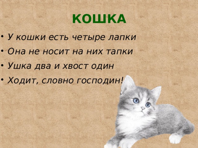 Ходит будто. Четыре лапки один хвост. 4 Лапы 1 хвост. 4 Лапы 2 уха.