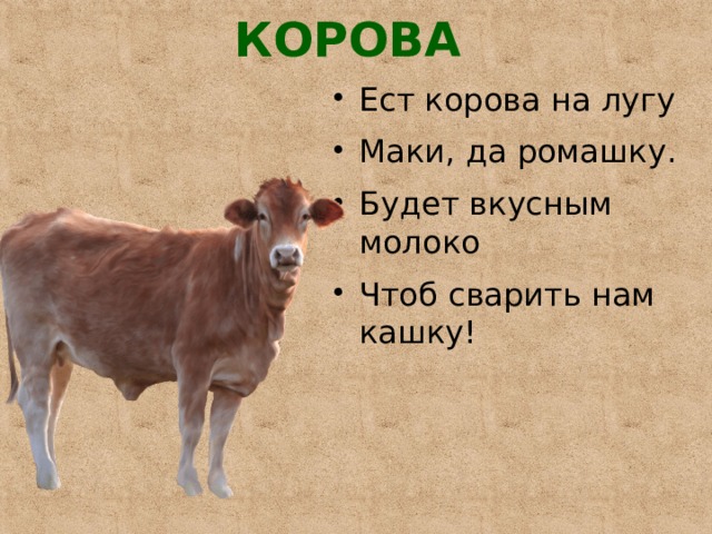 КОРОВА   Ест корова на лугу Маки, да ромашку. Будет вкусным молоко Чтоб сварить нам кашку! 
