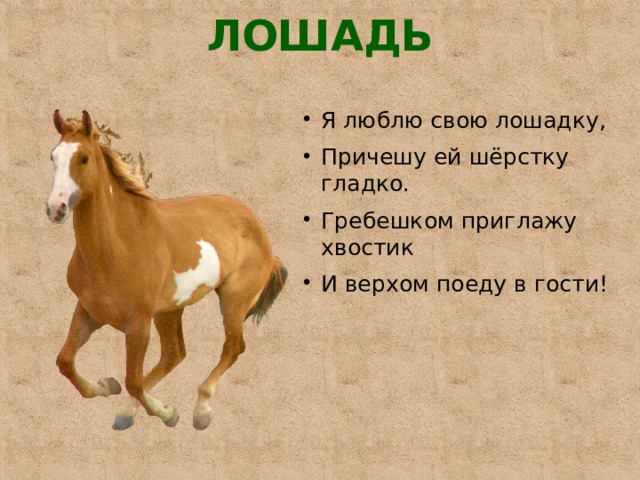 Причешите стихи. Я люблю свою лошадку. Я люблю свою лошадку причешу ей шерстку гладко. Я люблю свою лошадку причешу ей шерстку гладко стих. Стихотворение я люблю свою лошадку.