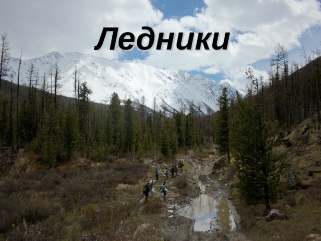 Ледники 