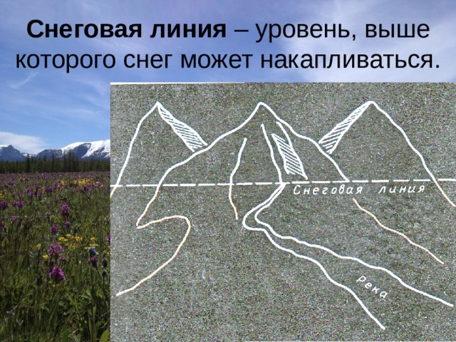 Снеговая линия – уровень, выше которого снег может накапливаться. 