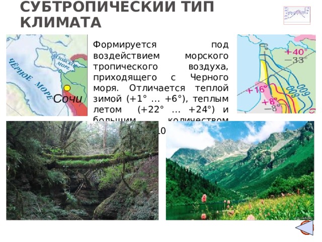 Климат формируется под влиянием. Сочи Тип климата. Территория субтропического пояса в России. Сочи какой климатический пояс и Тип. Какой Тип климата в Сочи.