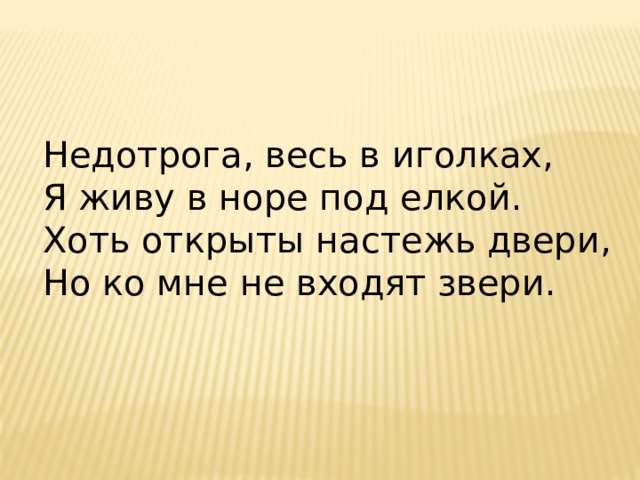 Недотрога, весь в иголках,  Я живу в норе под елкой.  Хоть открыты настежь двери,  Но ко мне не входят звери. 