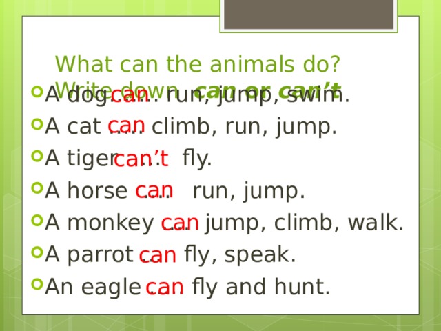 What can animals do презентация