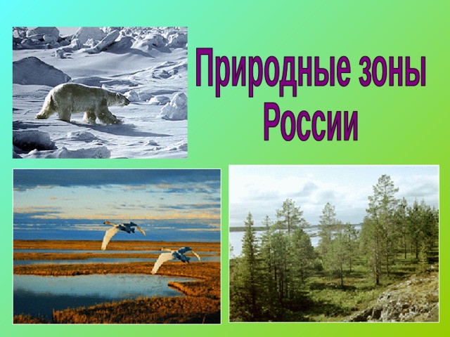 Зона арктических пустынь тундра. Арктические пустыни и тундра. Природные зоны арктические пустыни тундра. Арктические пустыни плакат. Леса арктических пустынь.