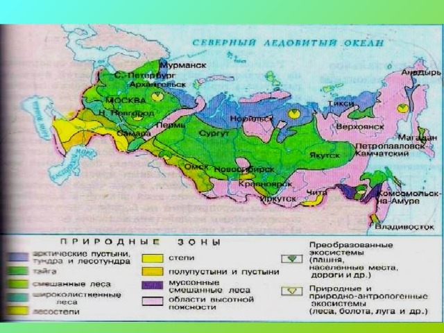 Цветом покажите природные зоны тундру лесотундру тайгу контурная карта