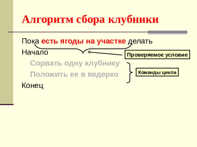 Алгоритм сбора клубники есть ягоды на участке Сорвать одну клубнику  Положить ее в ведерко Проверяемое условие Команды цикла 