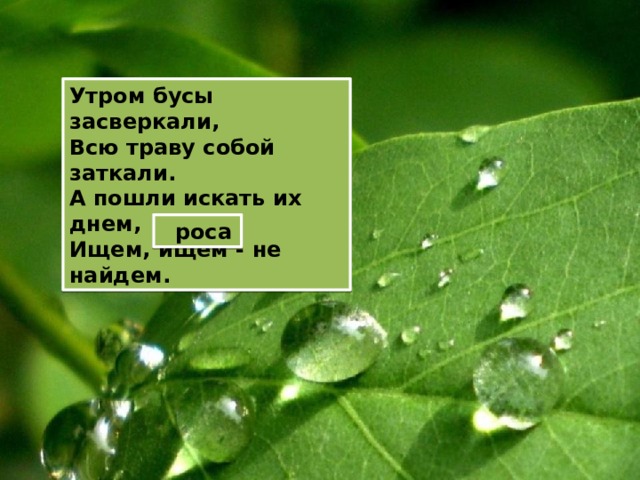 Утром бусы засверкали, Всю траву собой заткали. А пошли искать их днем, Ищем, ищем - не найдем.  роса 