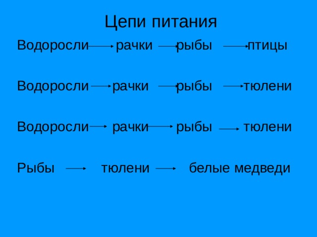 Составь схему цепи питания характерной для арктической пустыни