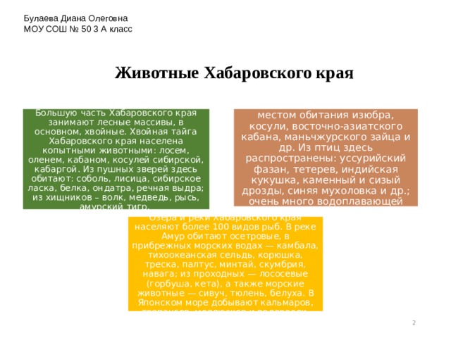 Рыбы хабаровского края презентация