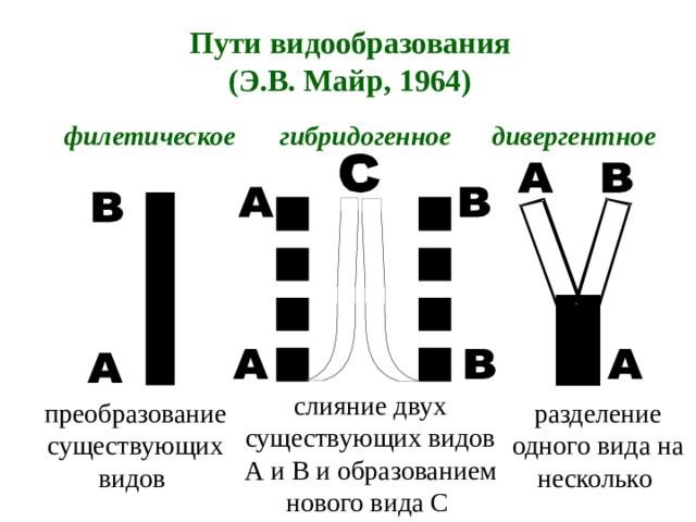 Видообразование 9 класс презентация