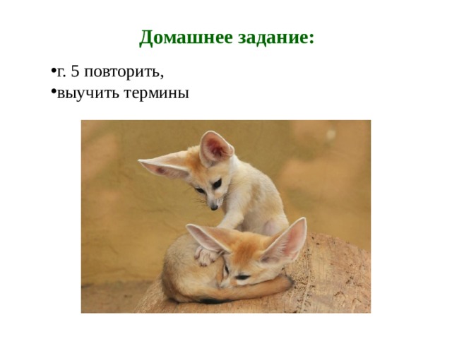 Домашнее задание: г. 5 повторить, выучить термины 