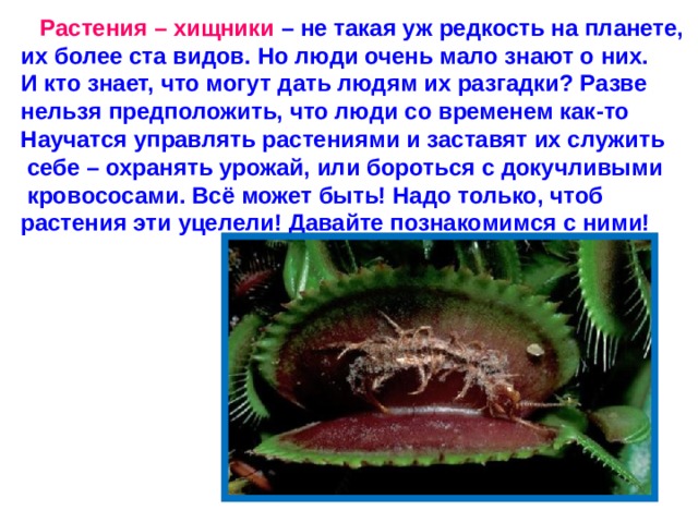 Растения – хищники – не такая уж редкость на планете, их более ста видов. Но люди очень мало знают о них. И кто знает, что могут дать людям их разгадки? Разве нельзя предположить, что люди со временем как-то Научатся управлять растениями и заставят их служить  себе – охранять урожай, или бороться с докучливыми  кровососами. Всё может быть! Надо только, чтоб растения эти уцелели! Давайте познакомимся с ними!