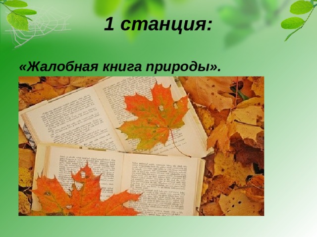 Жалобная книга природы презентация