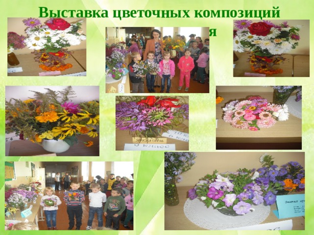 Выставка цветочных композиций  ко дню учителя 