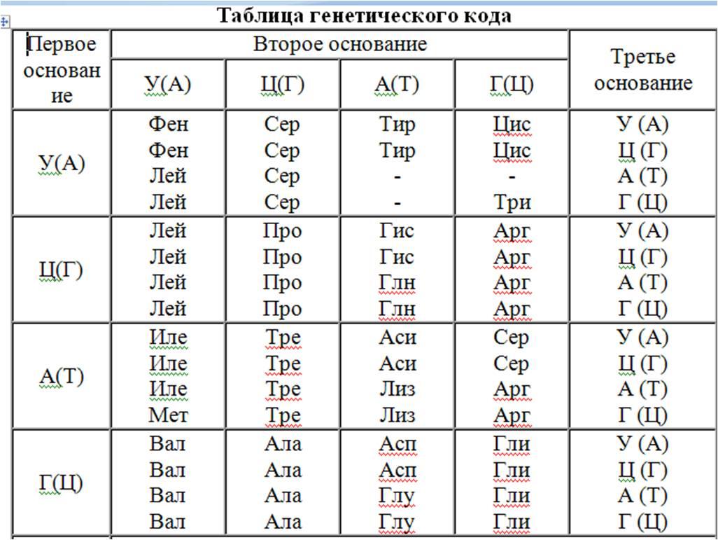 Тест по теме "Биосинтез белков"