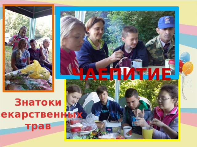 ЧАЕПИТИЕ Знатоки  лекарственных трав 