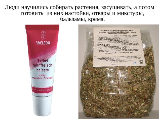Люди научились собирать растения, засушивать, а потом готовить из них настойки, отвары и микстуры, бальзамы, крема.